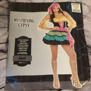 Costume USA Mystifying Gypsy  Adult Costume